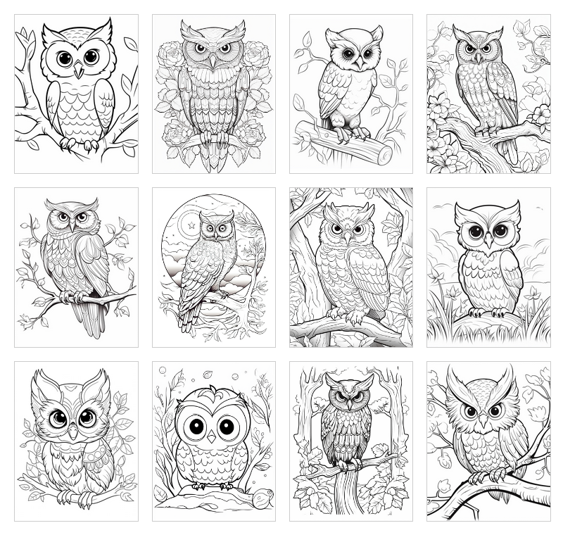 owl coloring pages