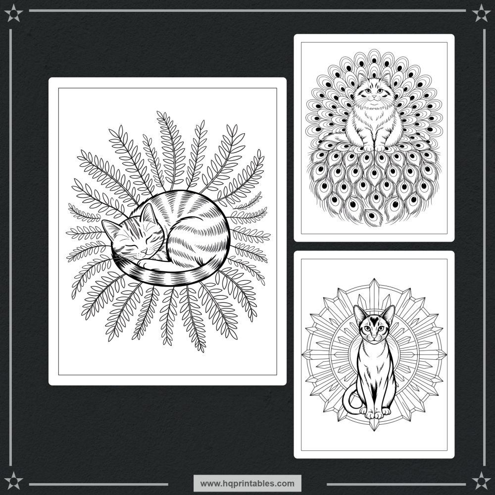 intricate cat designs