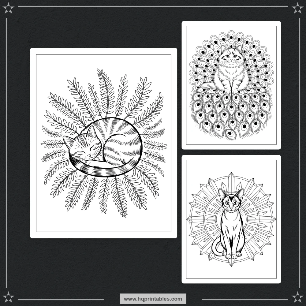 intricate cat designs