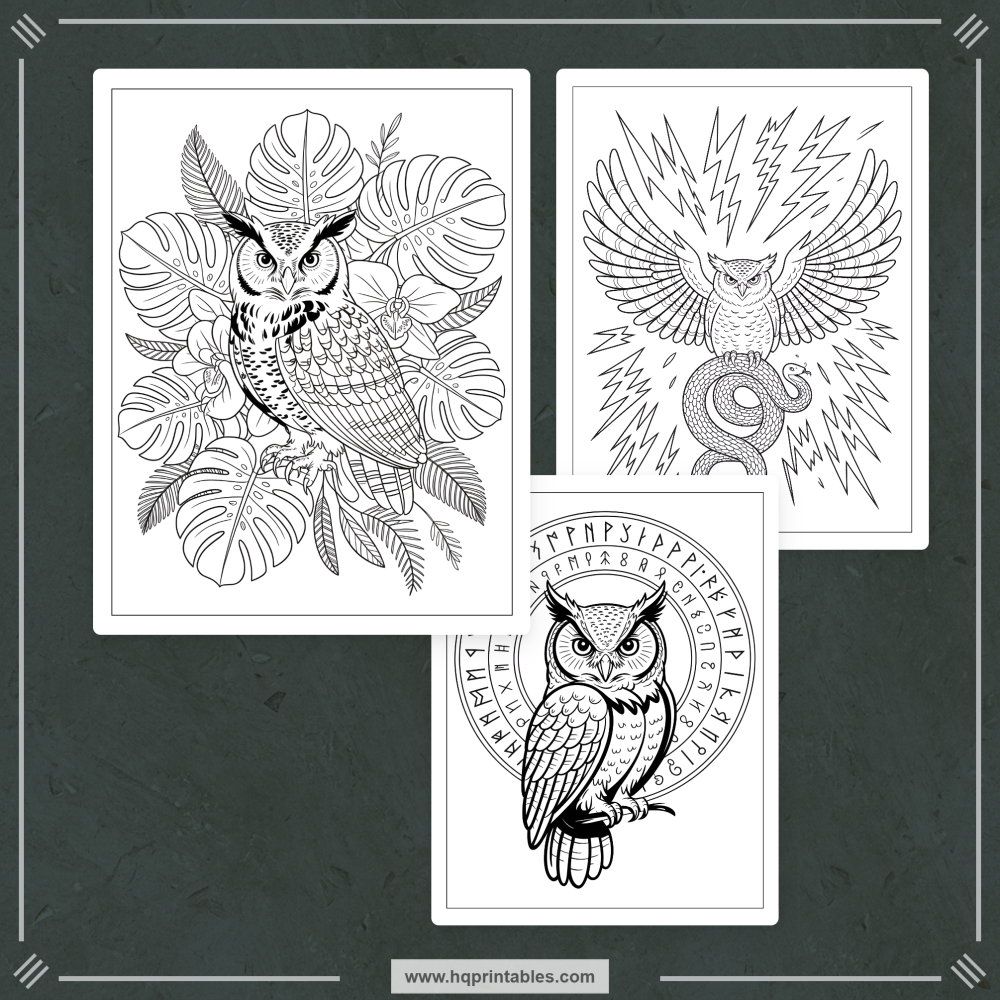 kids bird coloring book