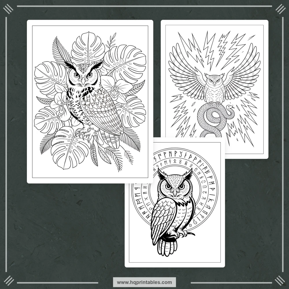 kids bird coloring book