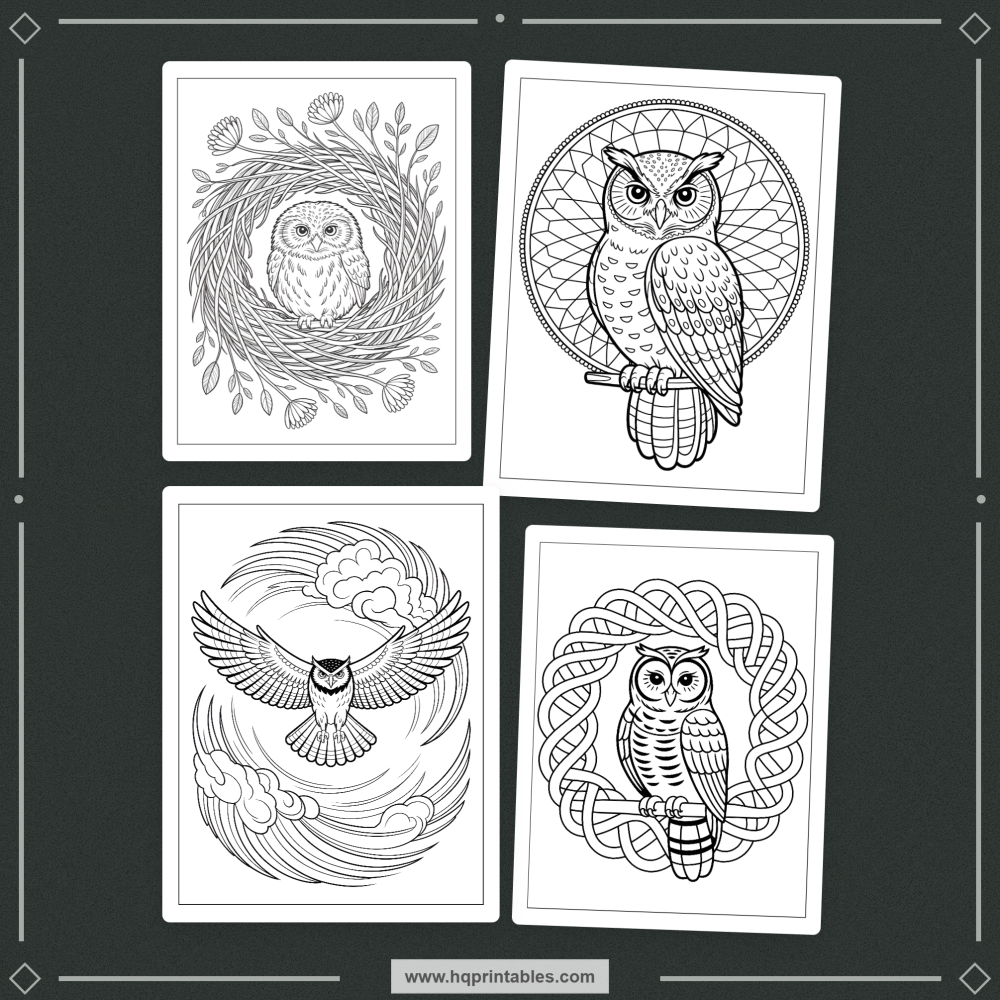 kids bird coloring book