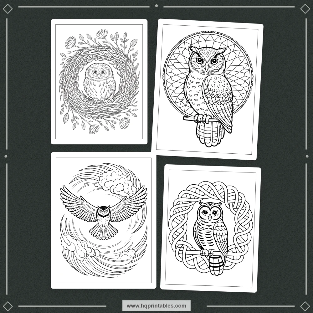 kids bird coloring book