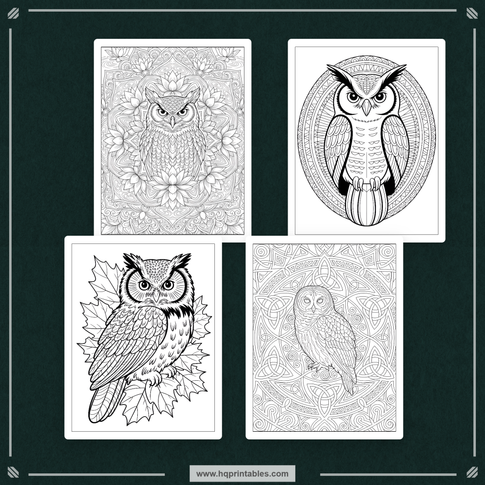kids bird coloring book