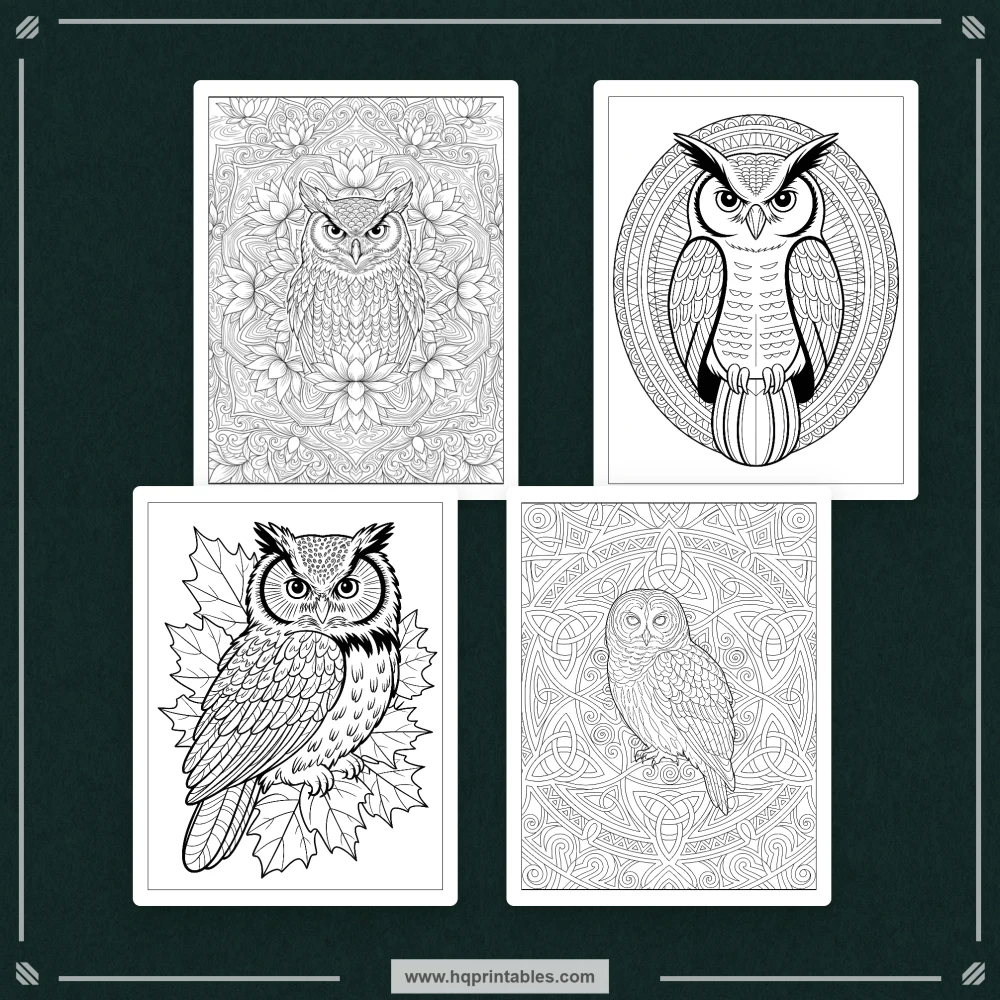 kids bird coloring book