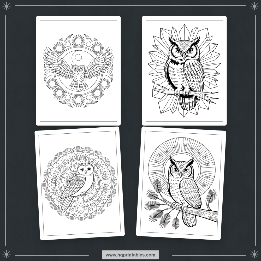 kids bird coloring book