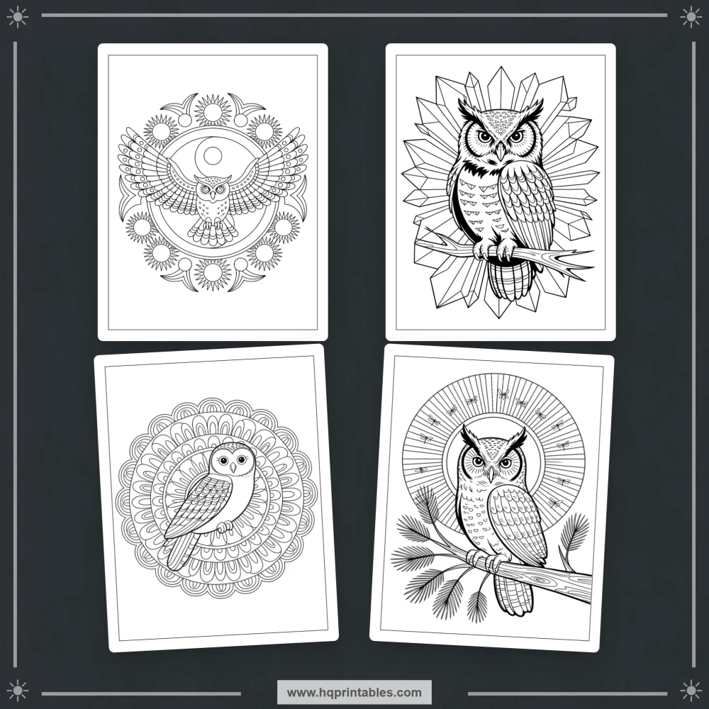 kids bird coloring book