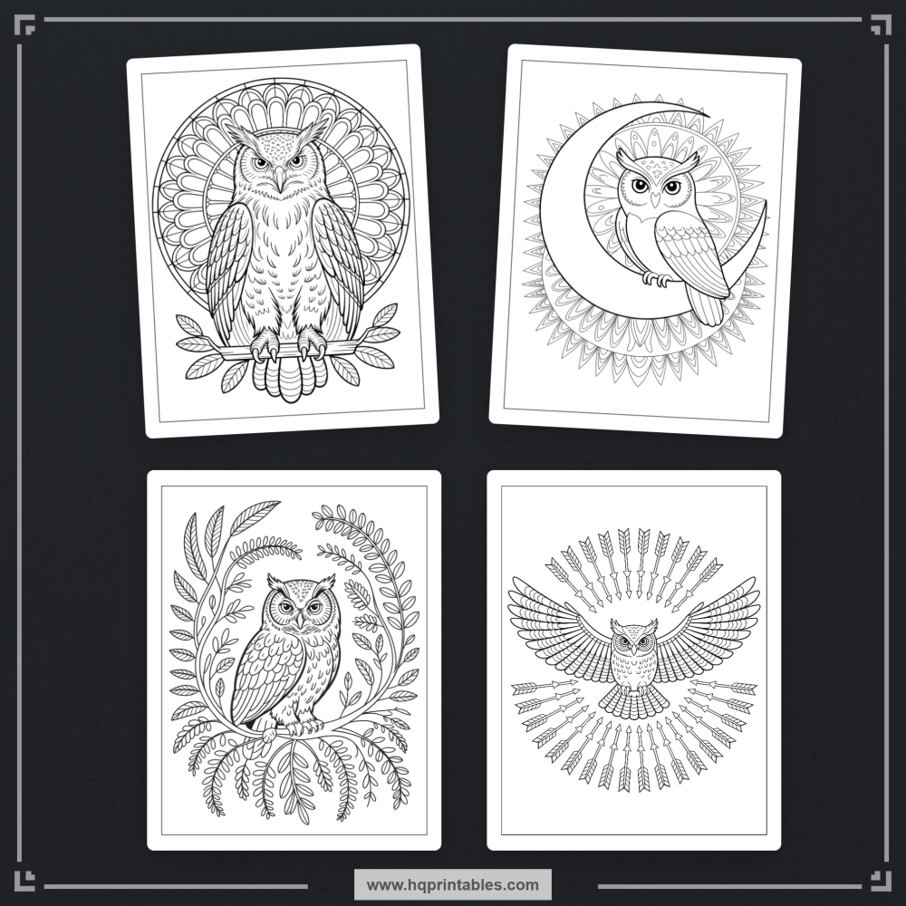 kids bird coloring book
