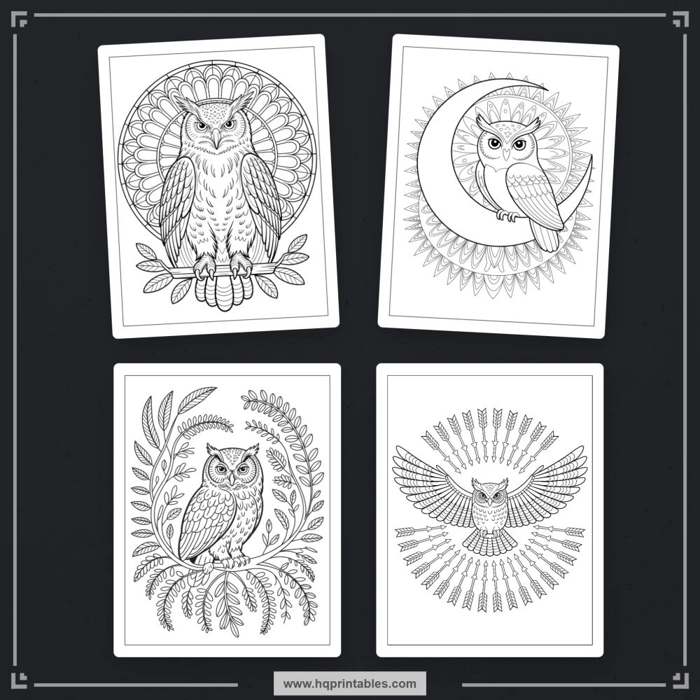 kids bird coloring book