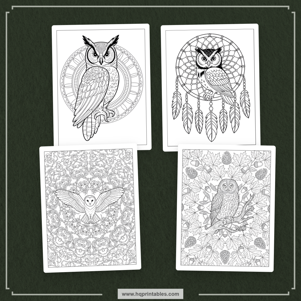 kids bird coloring book