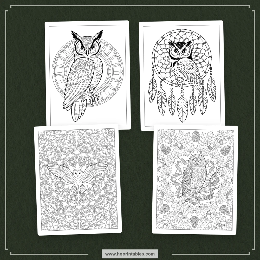 kids bird coloring book