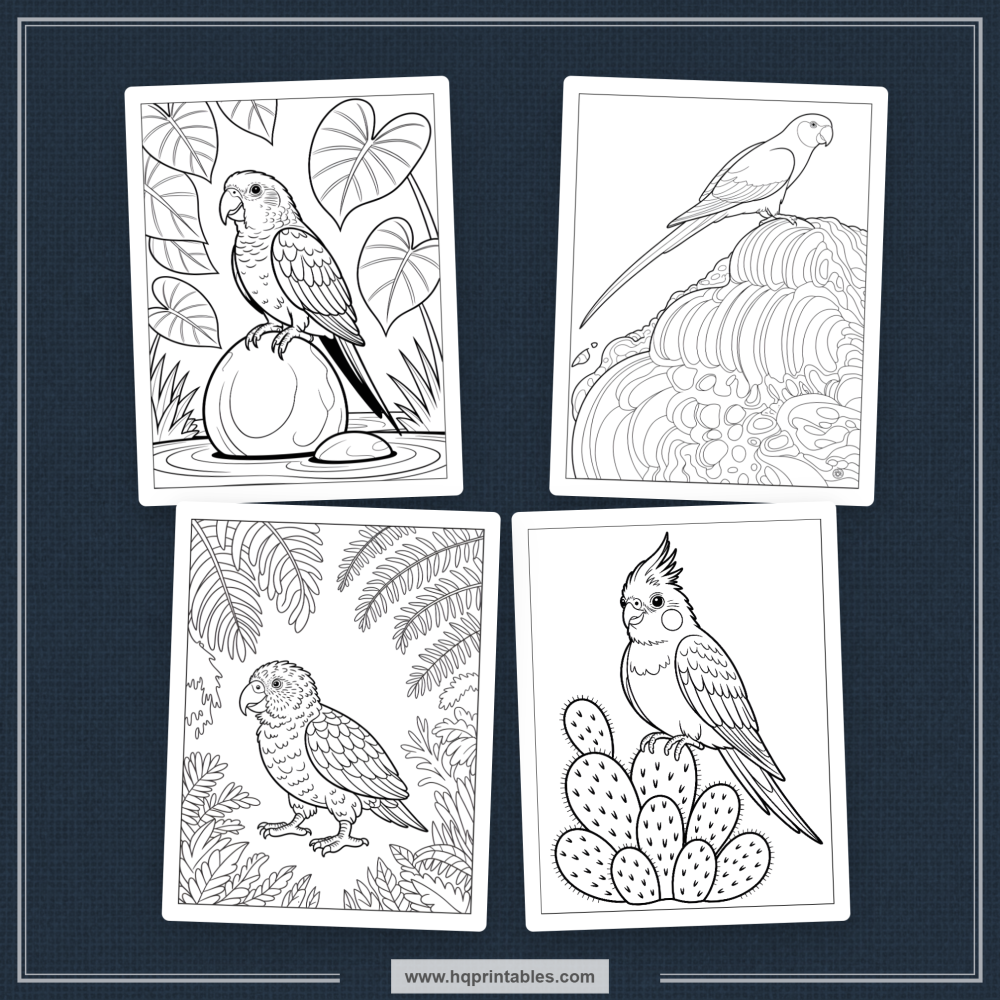 tropical bird coloring book