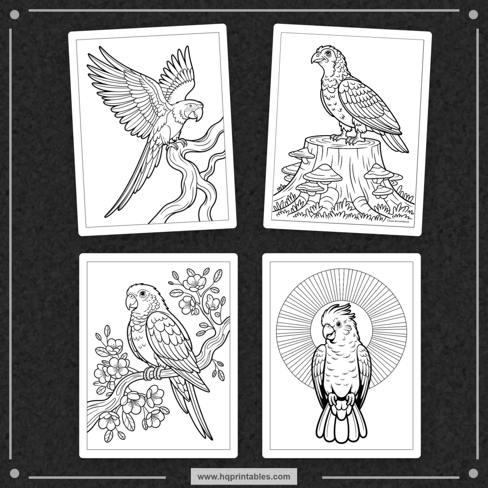 tropical bird coloring book