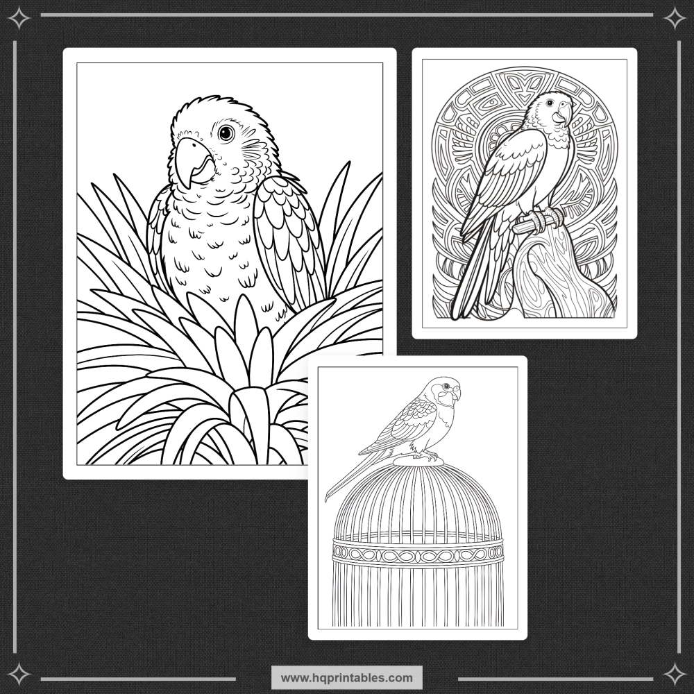 tropical bird coloring book