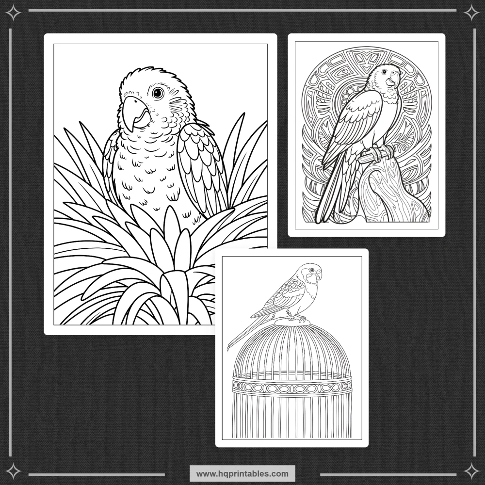 tropical bird coloring book