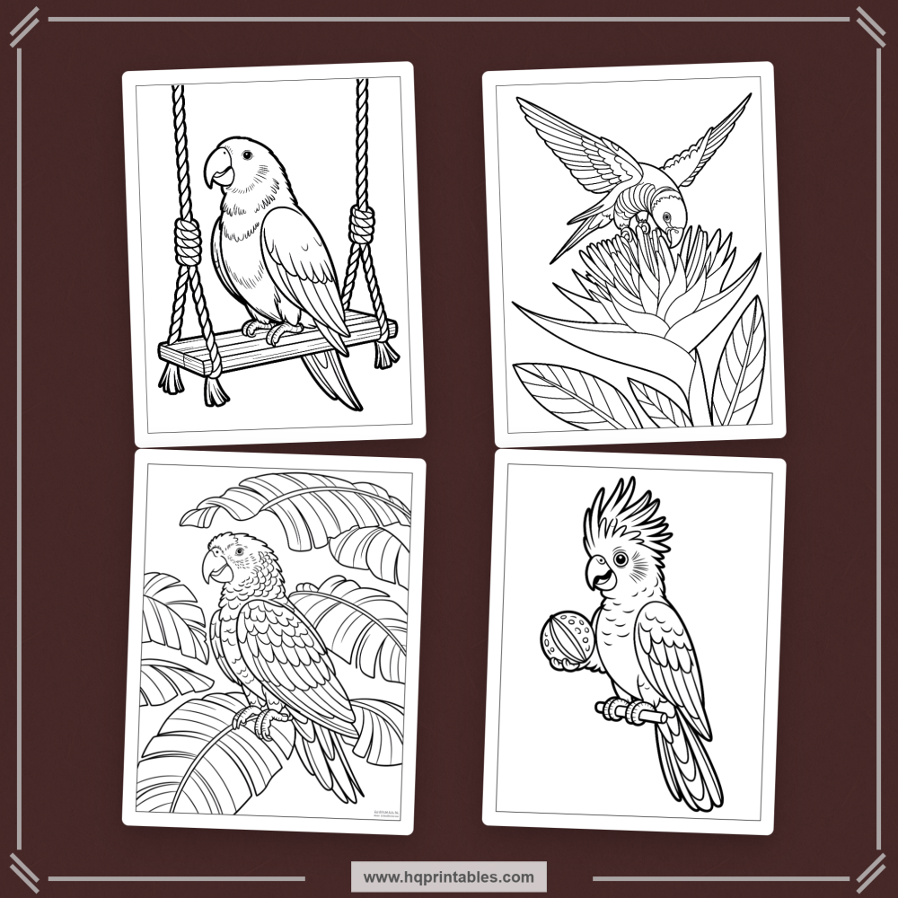 tropical bird coloring book