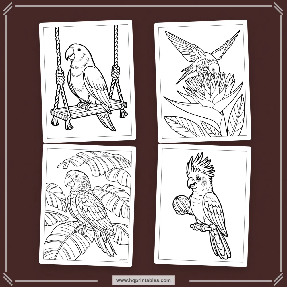 tropical bird coloring book