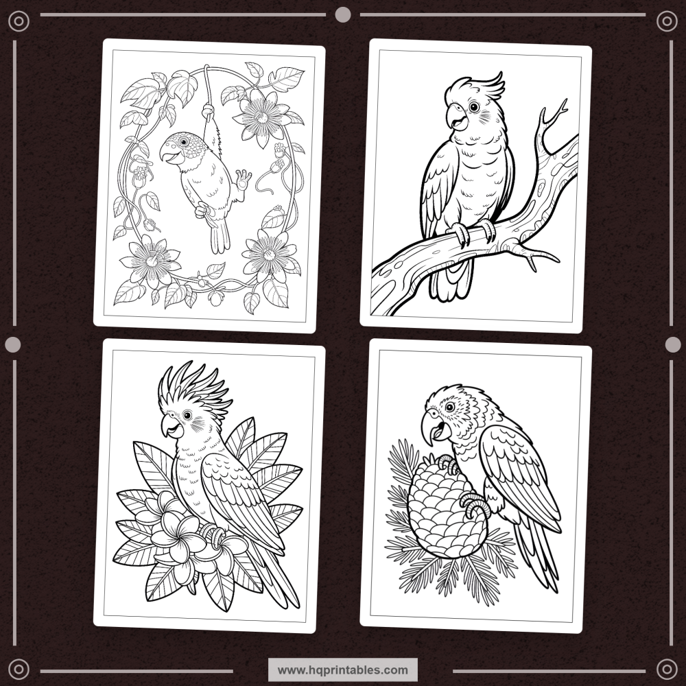 tropical bird coloring book