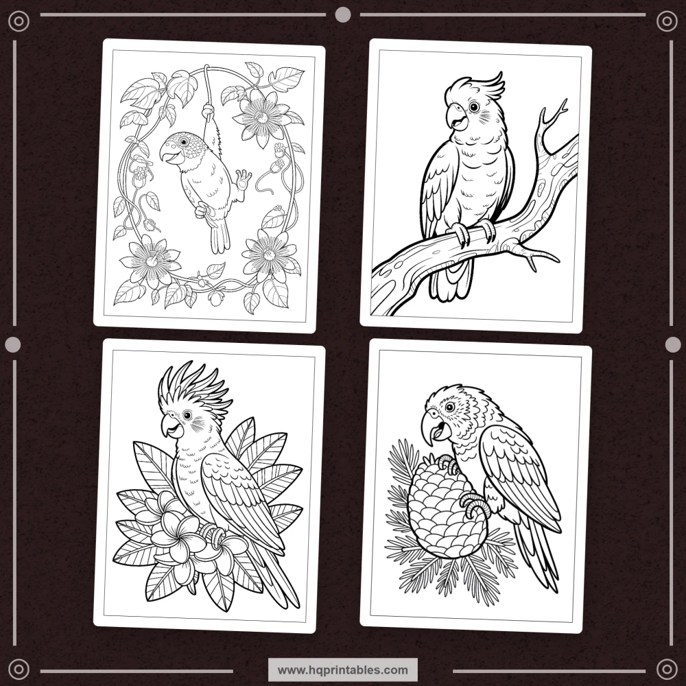 tropical bird coloring book