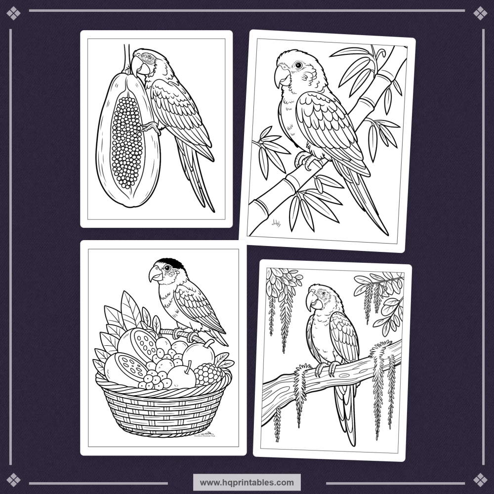 tropical bird coloring book