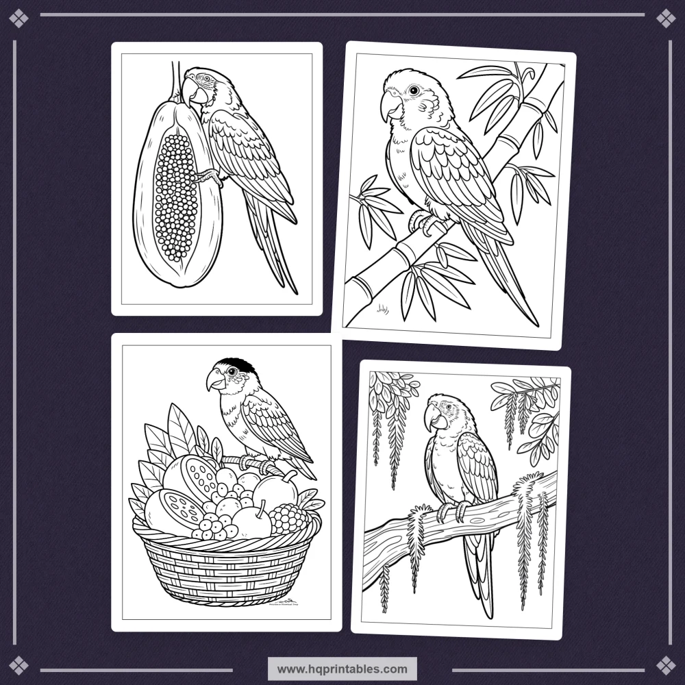 tropical bird coloring book