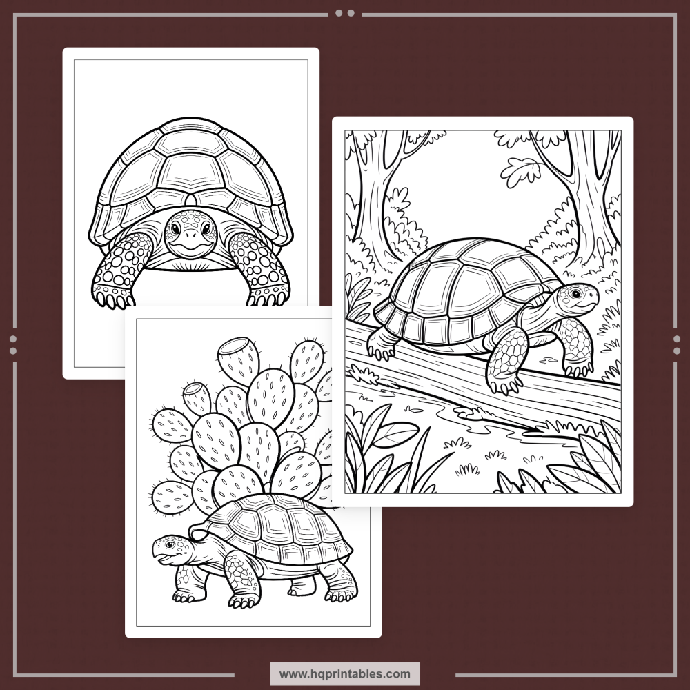 land tortoise coloring book