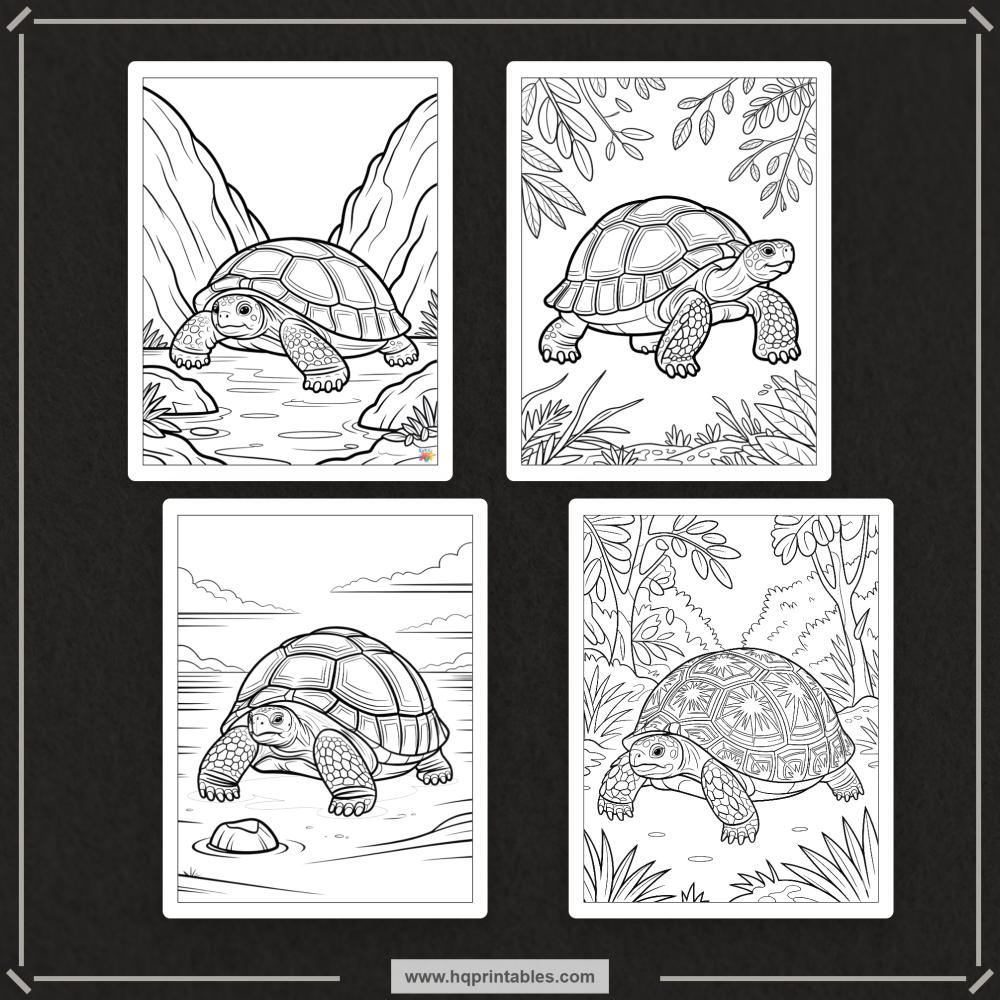 land tortoise coloring book