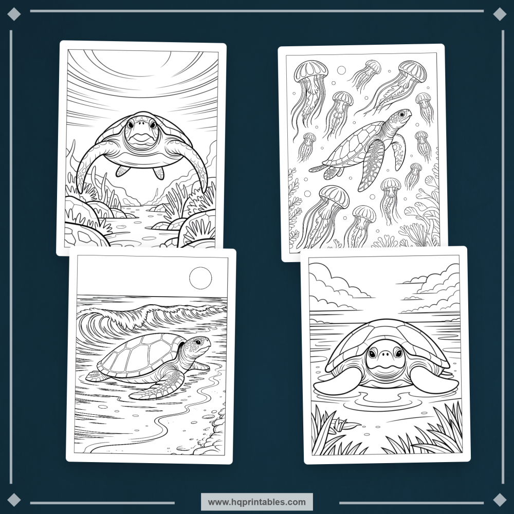 sea turtle coloring book