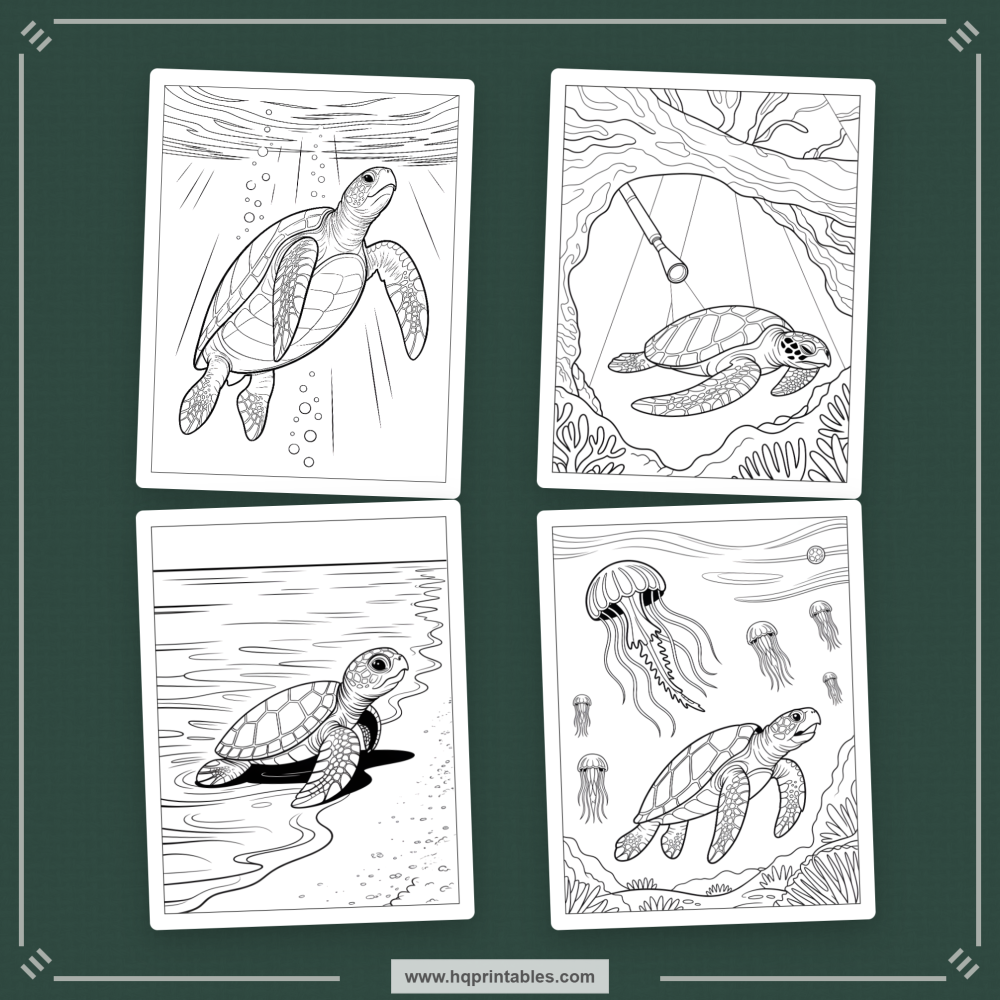 sea turtle coloring book