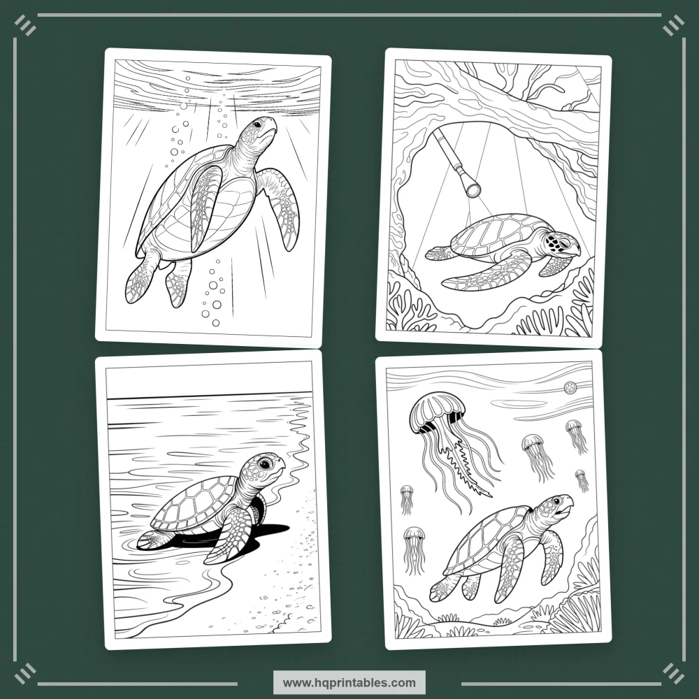 sea turtle coloring book
