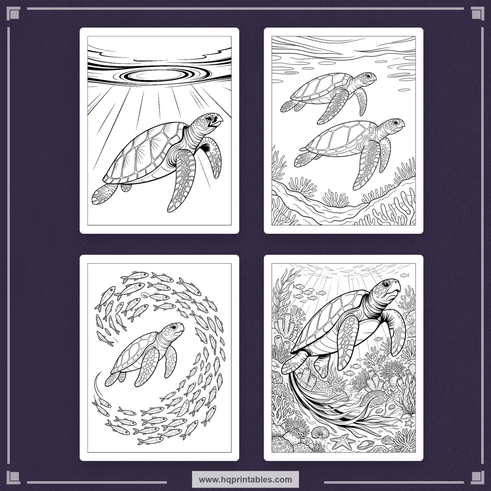 sea turtle coloring book