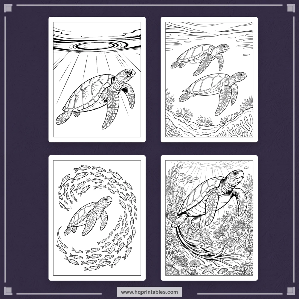 sea turtle coloring book