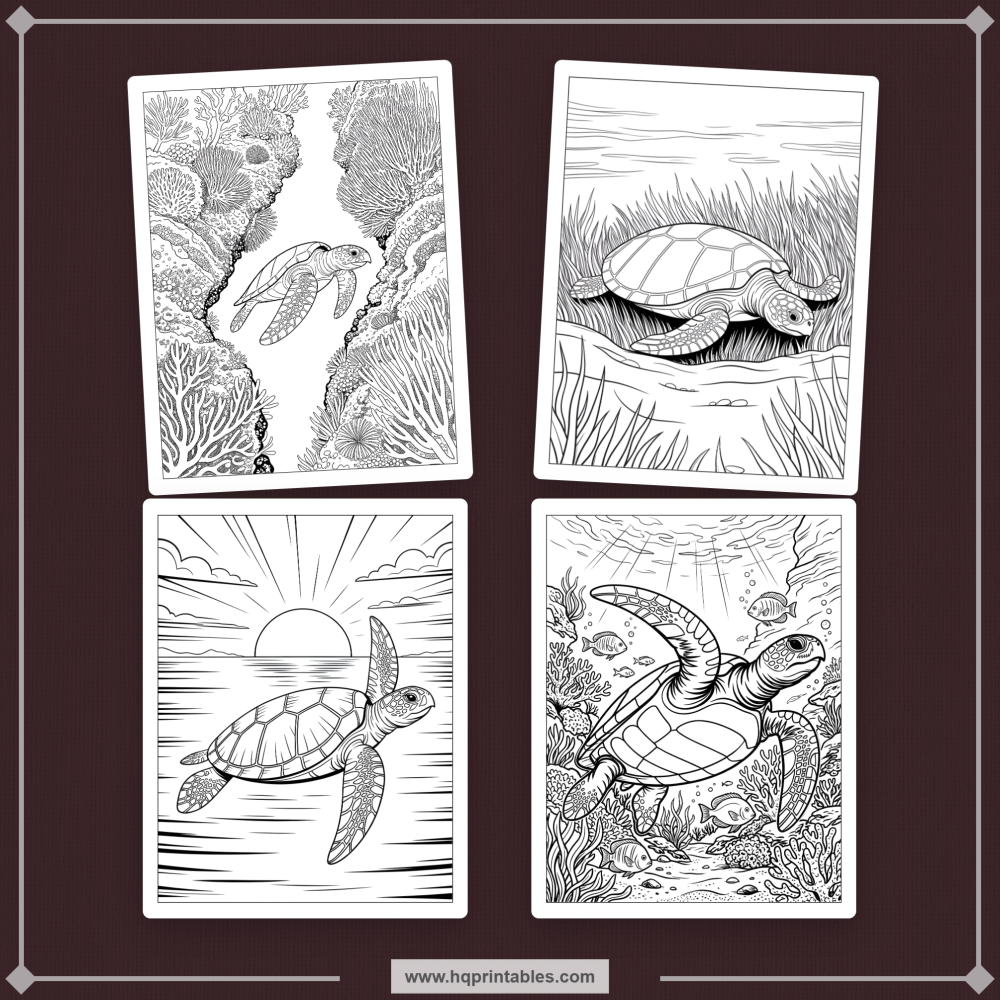 sea turtle coloring book