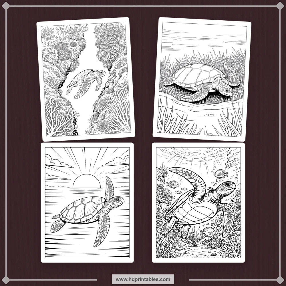 sea turtle coloring book
