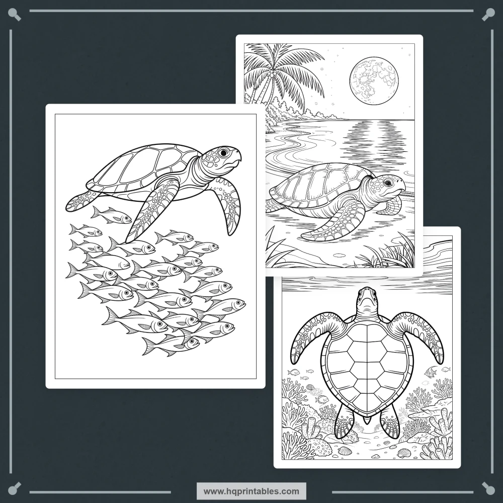 sea turtle coloring book
