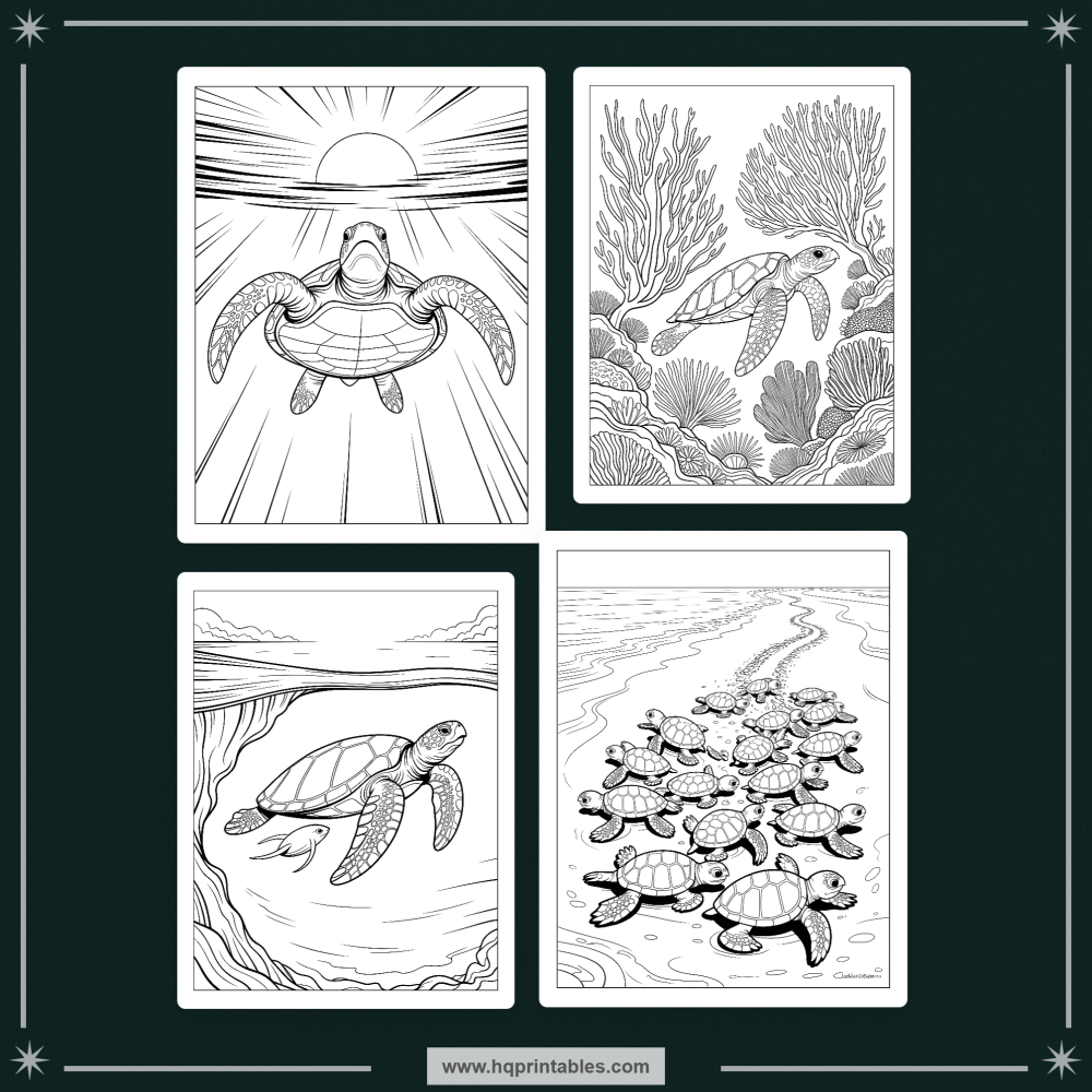 sea turtle coloring book