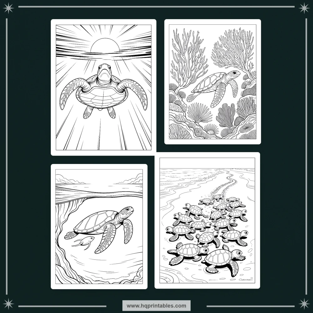 sea turtle coloring book