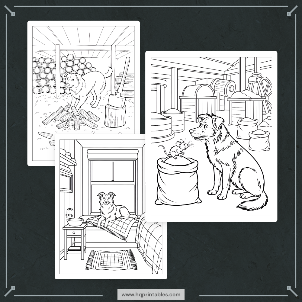 A printable adult coloring page featuring a detailed portrait of a Border Collie herding dog.