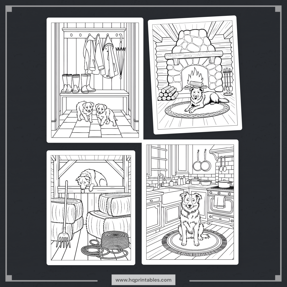 A printable adult coloring page featuring a detailed portrait of a Border Collie herding dog.