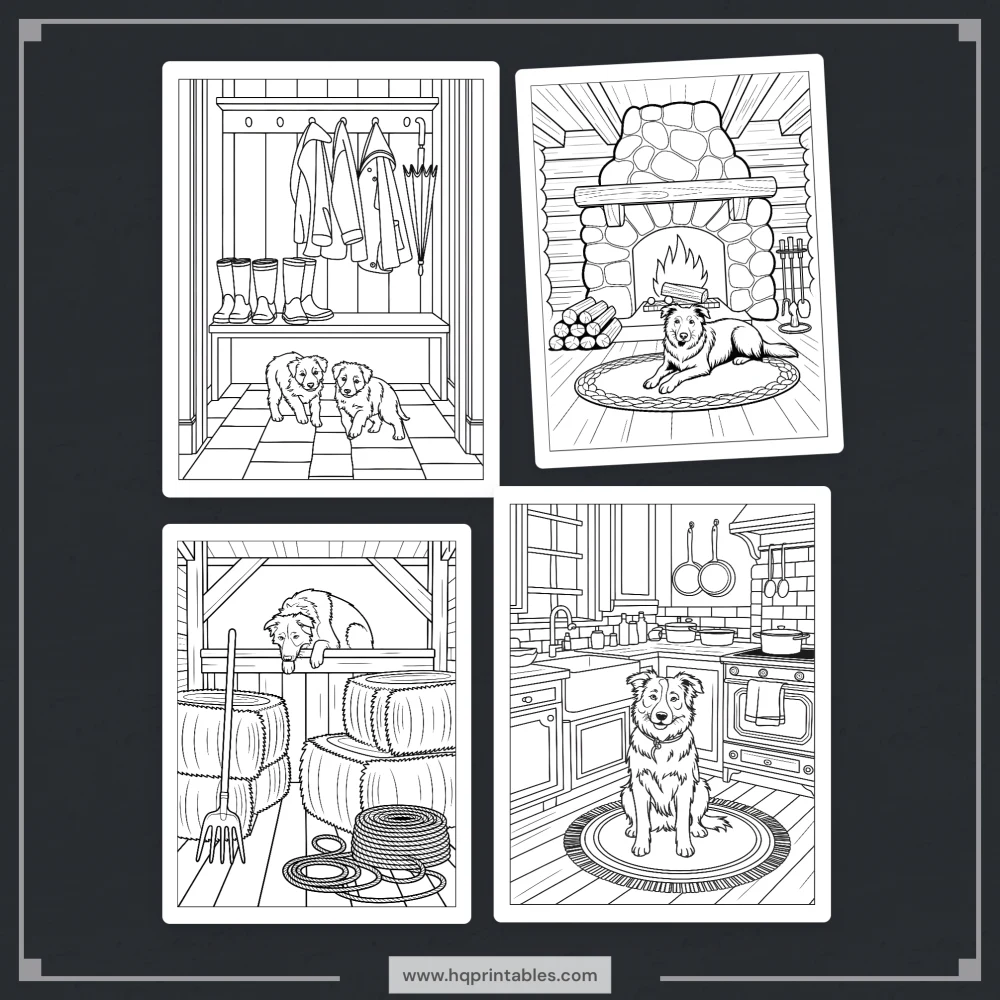A printable adult coloring page featuring a detailed portrait of a Border Collie herding dog.