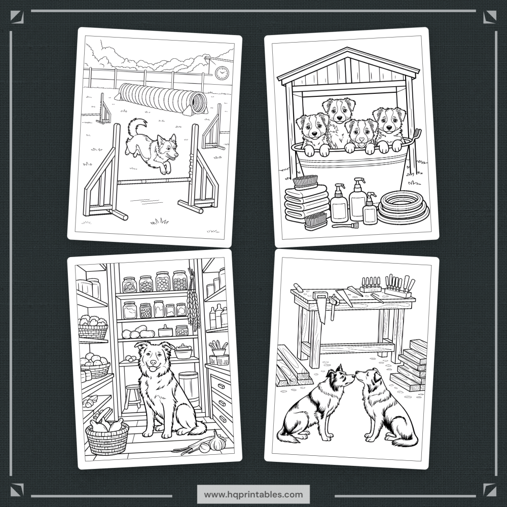 A printable adult coloring page featuring a detailed portrait of a Border Collie herding dog.