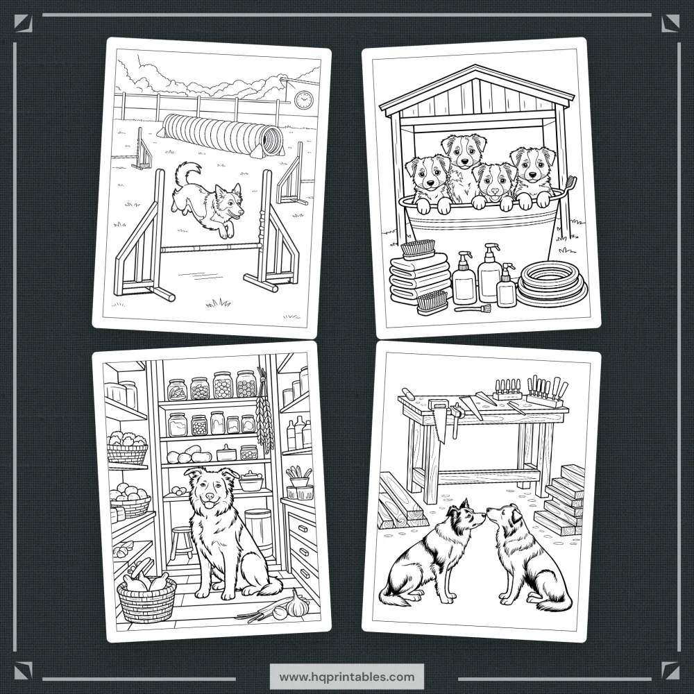 A printable adult coloring page featuring a detailed portrait of a Border Collie herding dog.