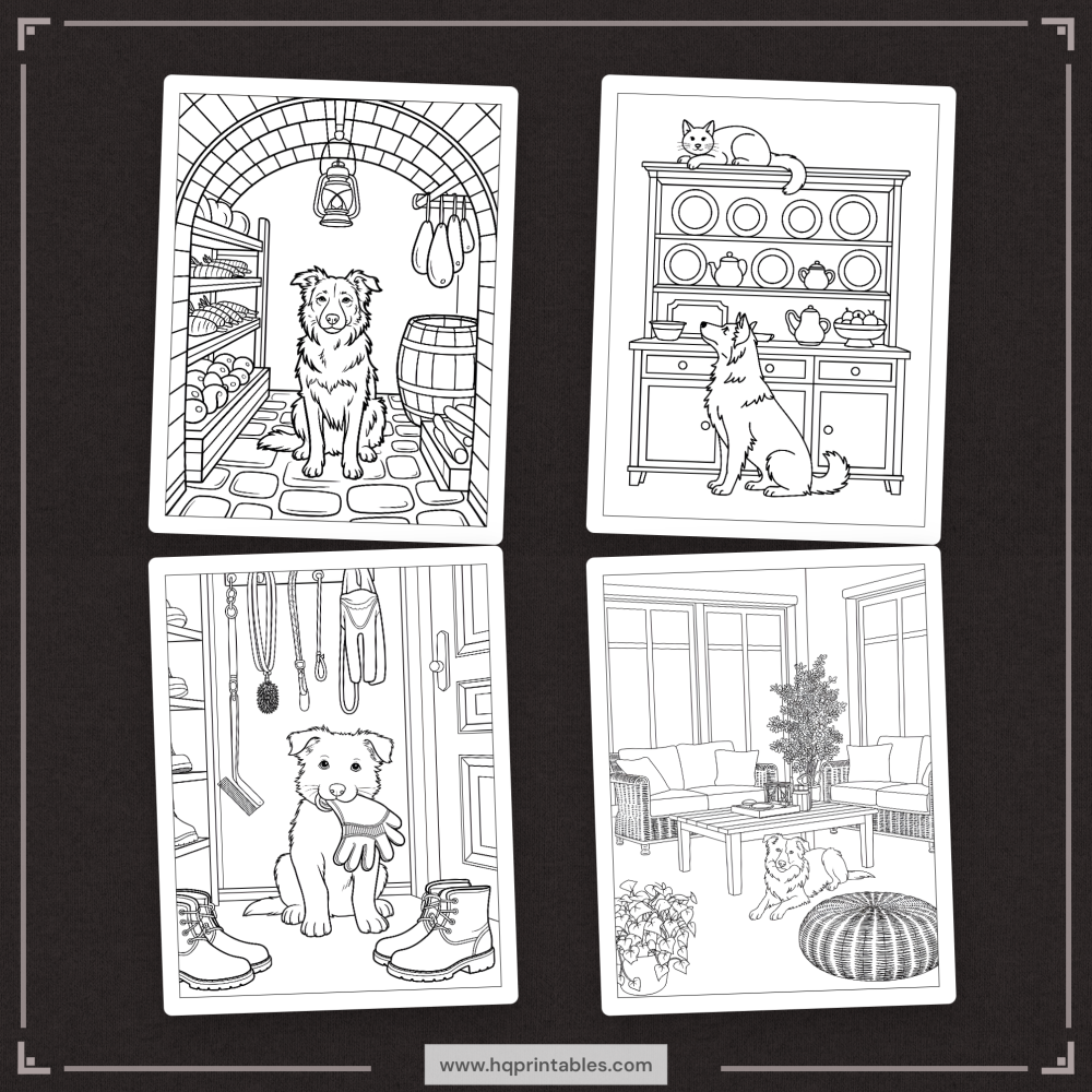 A printable adult coloring page featuring a detailed portrait of a Border Collie herding dog.