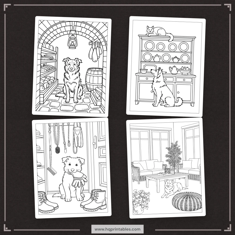 A printable adult coloring page featuring a detailed portrait of a Border Collie herding dog.