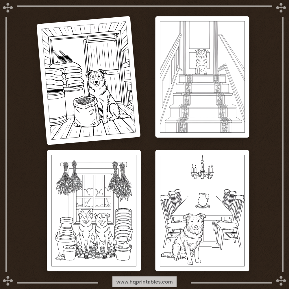 A printable adult coloring page featuring a detailed portrait of a Border Collie herding dog.