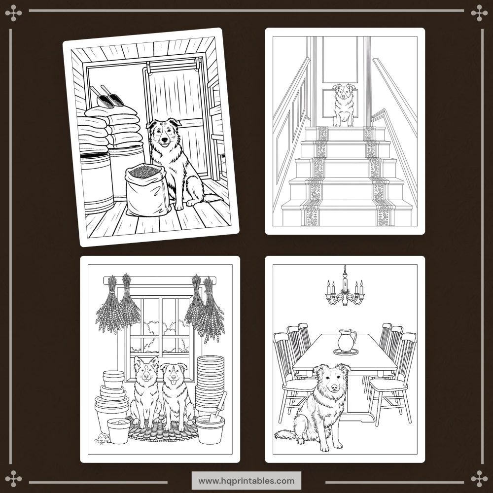 A printable adult coloring page featuring a detailed portrait of a Border Collie herding dog.
