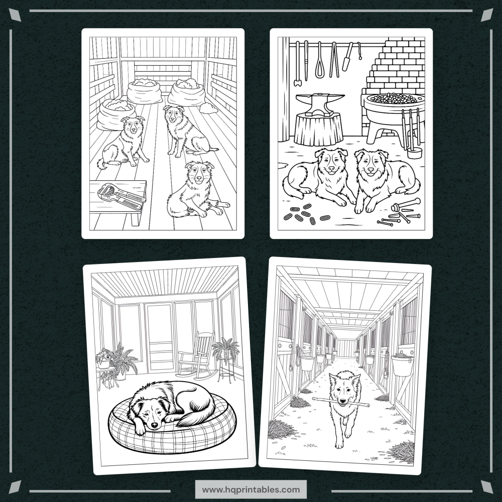 A printable adult coloring page featuring a detailed portrait of a Border Collie herding dog.