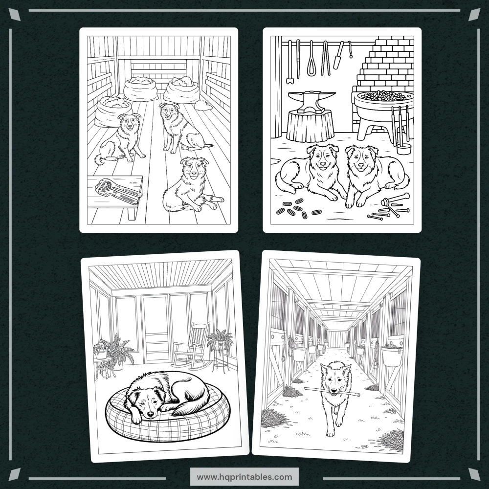 A printable adult coloring page featuring a detailed portrait of a Border Collie herding dog.