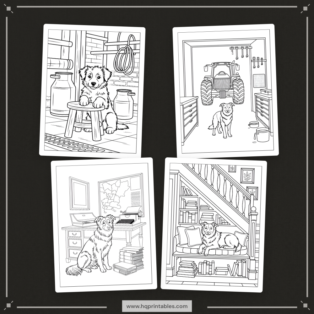 A printable adult coloring page featuring a detailed portrait of a Border Collie herding dog.