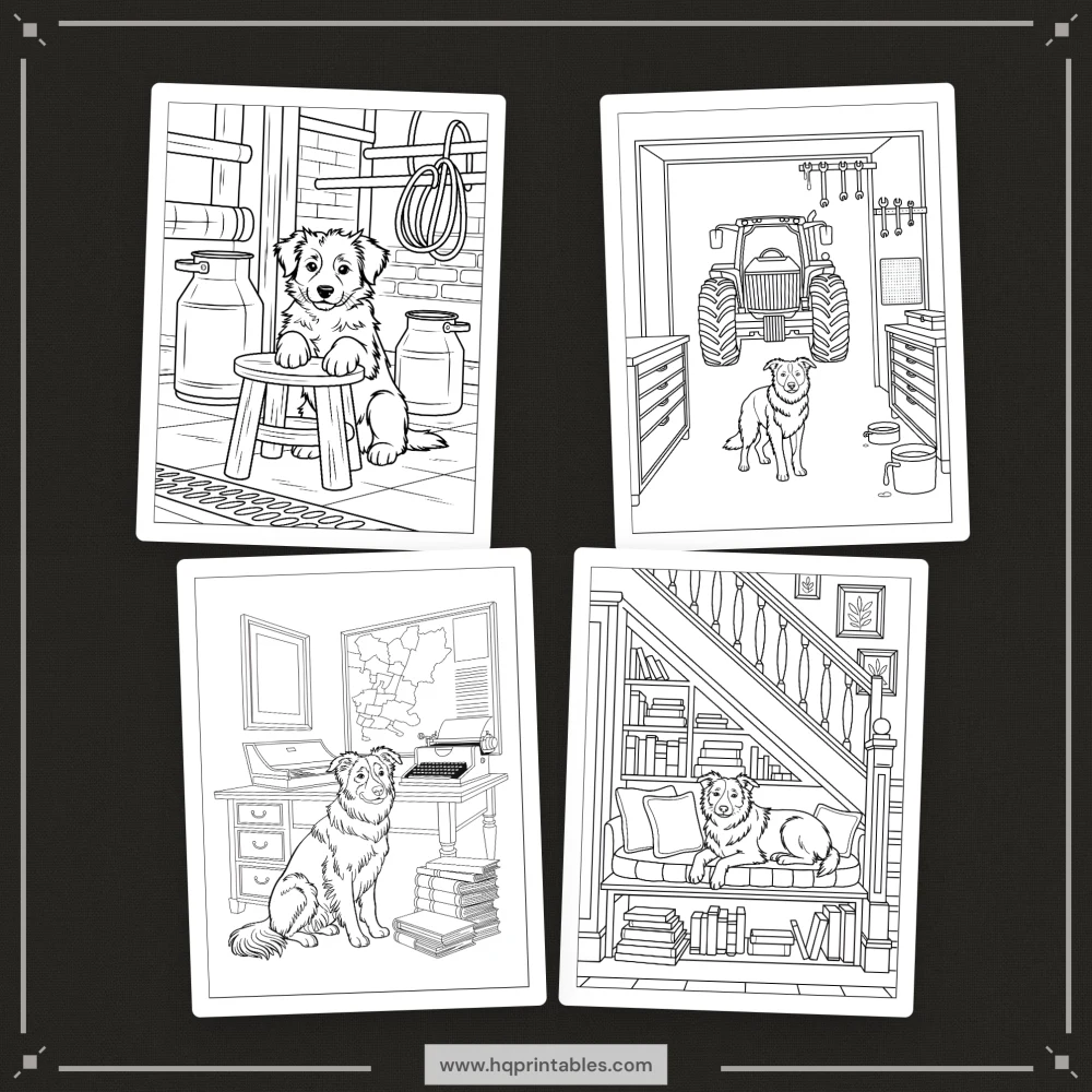 A printable adult coloring page featuring a detailed portrait of a Border Collie herding dog.